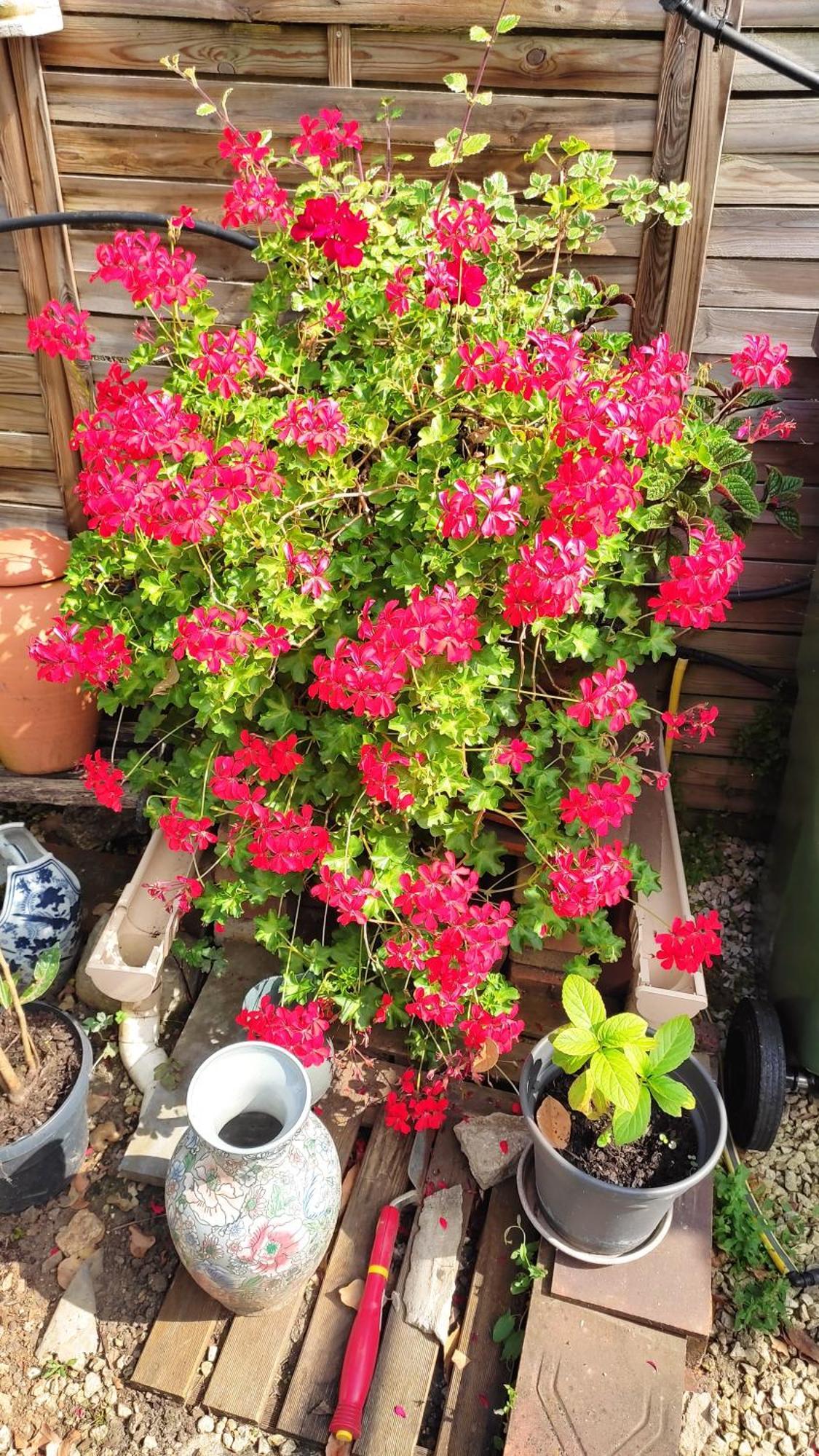 Un Deux Pieces Et Un Jardin A Villejuif Zewnętrze zdjęcie